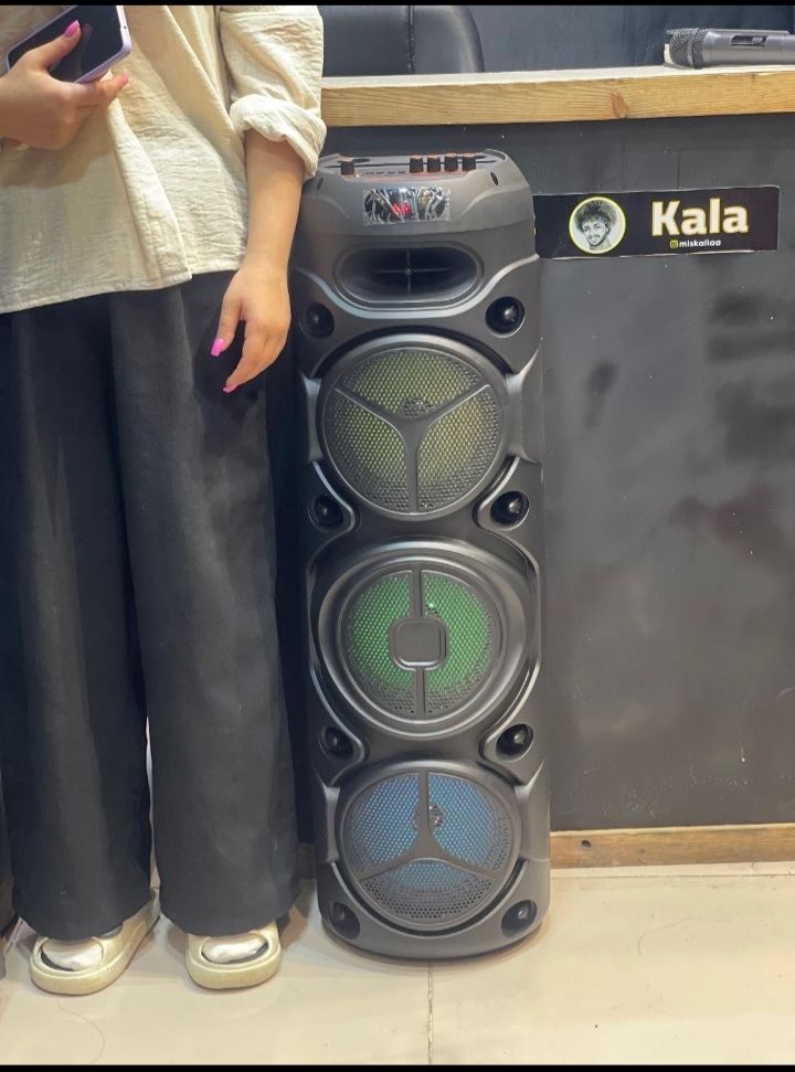 zqs 8308 اسپیکر باند